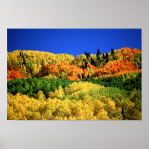 Poster Paysage d'automne