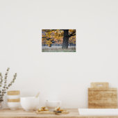Poster paysage d'automne (Cuisine)