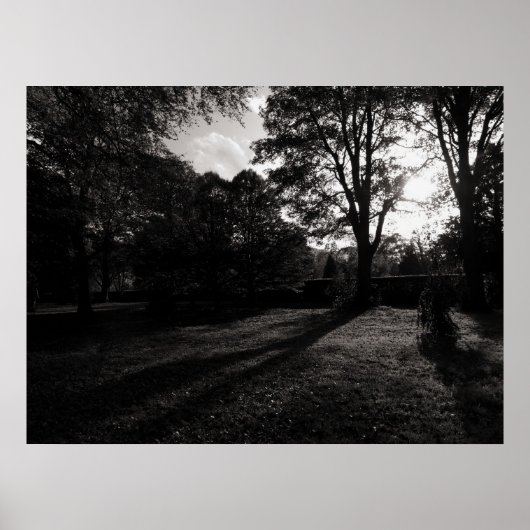 Poster Paysage d'automne Bute Park Cardiff (Devant)