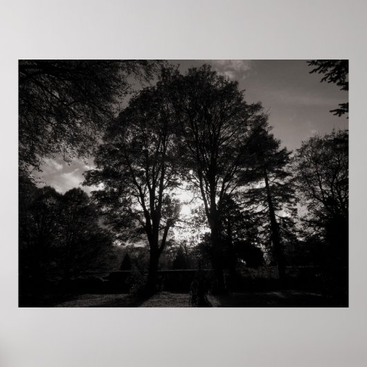 Poster Paysage d'automne Bute Park Cardiff (Devant)
