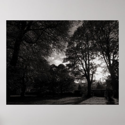 Poster Paysage d'automne Bute Park Cardiff (Devant)