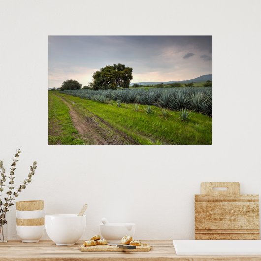 Poster Paysage De Blue Agave (Cuisine)