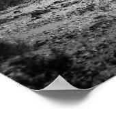 Poster Paysage de Cactus (Coin)