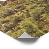 Poster Paysage de cactus de l'Arizona (Coin)