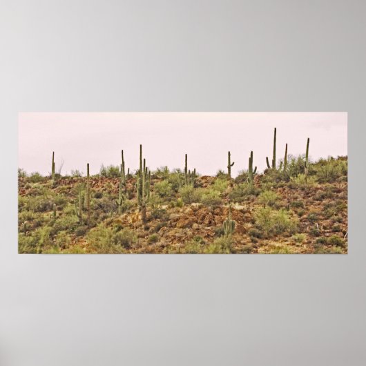 Poster Paysage de cactus de l'Arizona (Devant)