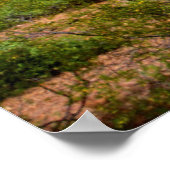 Poster Paysage de cactus du désert, Arizona (Coin)