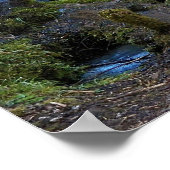 Poster Paysage de cascade de forêt panoramique (Coin)