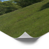 Poster Paysage de chêne et prairie (Coin)