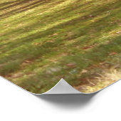 Poster Paysage de Cherry Blossom (Coin)