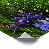 Poster Paysage de fleurs de début de printemps à flanc de (Coin)