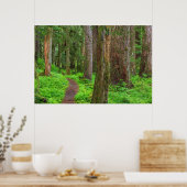 Poster Paysage de forêt ancienne (Cuisine)