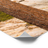 Poster Paysage de Half Dome, Californie (Coin)
