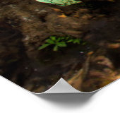 Poster Paysage de Jangle | Kanchanaburi, Thaïlande (Coin)