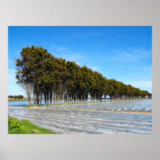 Poster Paysage de Jersey au printemps (Devant)