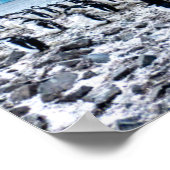 Poster Paysage de la colonie de pingouins de Chinstrap (Coin)