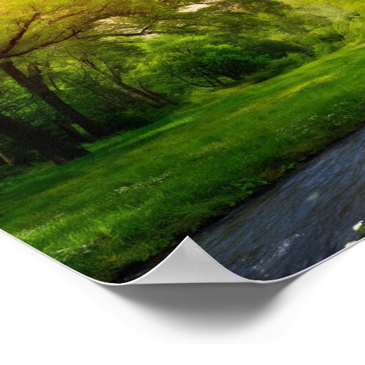 Poster Paysage de la forêt serene (Coin)