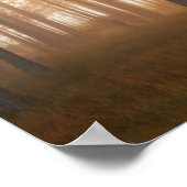 Poster Paysage de la pinède (Coin)