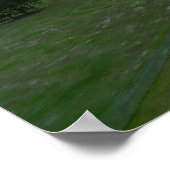 Poster Paysage de la réserve récréative de Carindale (Coin)