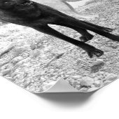 Poster Paysage de la rivière White Black Wolf (Coin)