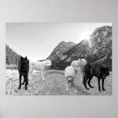 Poster Paysage de la rivière White Black Wolf (Devant)