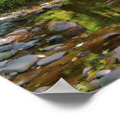 Poster Paysage de la rivière Wilson (Coin)