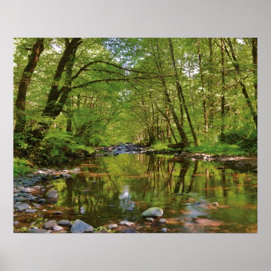 Poster Paysage de la rivière Wilson (Devant)