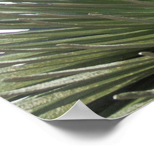 Poster Paysage de l'épée d'argent (Coin)