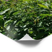 Poster paysage de montagne (Coin)