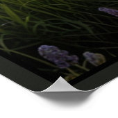 Poster Paysage de nature serein (Coin)