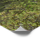 Poster Paysage de Pennsylvanie (Coin)