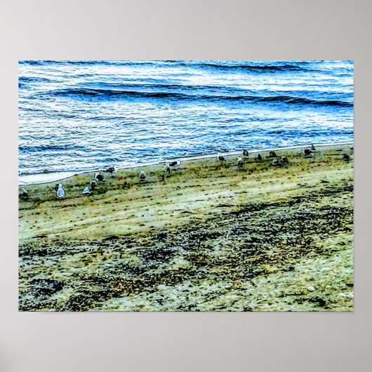 Poster Paysage de plage de Rhode Island Photo (Devant)