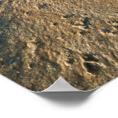 Poster Paysage de plage tropicale, Fidji (Coin)