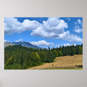 Poster Paysage de prairie de montagne - Nature sauvage Ro