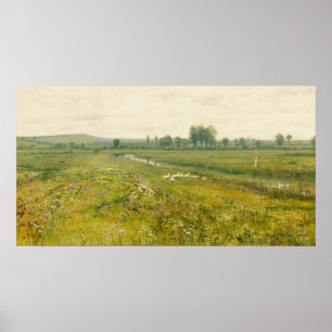 Poster Paysage de prairie étendu avec oies