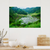Poster Paysage de rizières, Philippines (Cuisine)