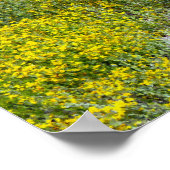 Poster Paysage de terrain Fleur sauvage jaune (Coin)