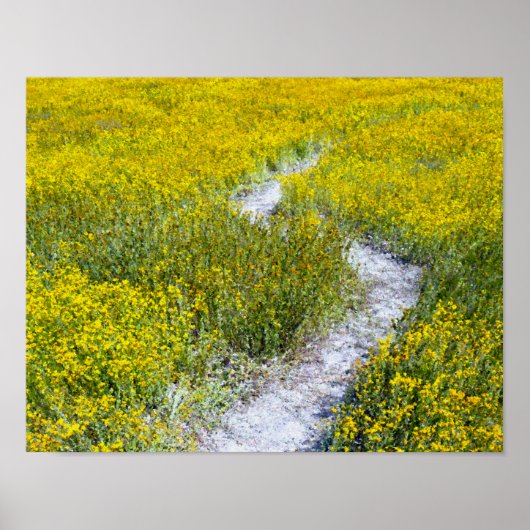 Poster Paysage de terrain Fleur sauvage jaune (Devant)