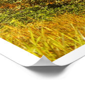 Poster paysage de Virginie-Occidentale (Coin)