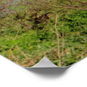 Poster Paysage de Zambie (Coin)