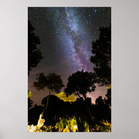 Poster Paysage des arbres à voie laiteuse (Devant)