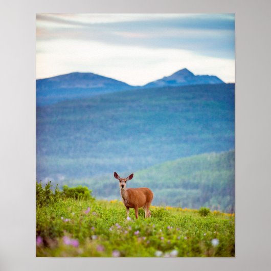 Poster Paysage des cerfs et des montagnes (Devant)