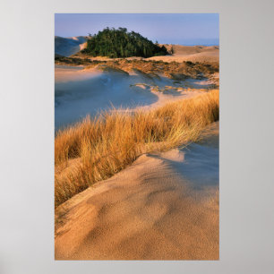 Poster Paysage des dunes de sable de l'Oregon