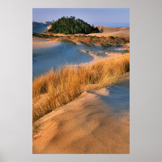 Poster Paysage des dunes de sable de l'Oregon (Devant)