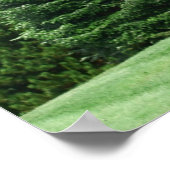 Poster Paysage des pins (Coin)