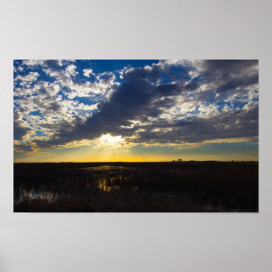 Poster Paysage des Prairies de Floride