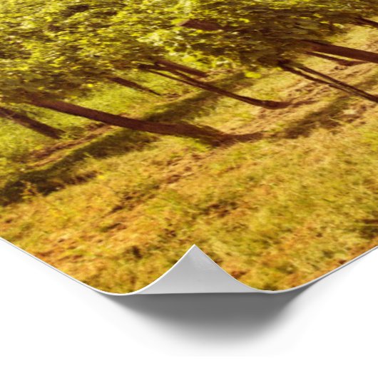 Poster Paysage des vignobles (Coin)