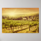 Poster Paysage des vignobles (Devant)
