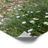 Poster Paysage d'été du Colorado (Coin)