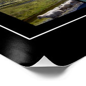 Poster Paysage d'été islandais (Coin)