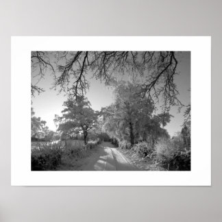 Poster Paysage d'hiver : Cheshire